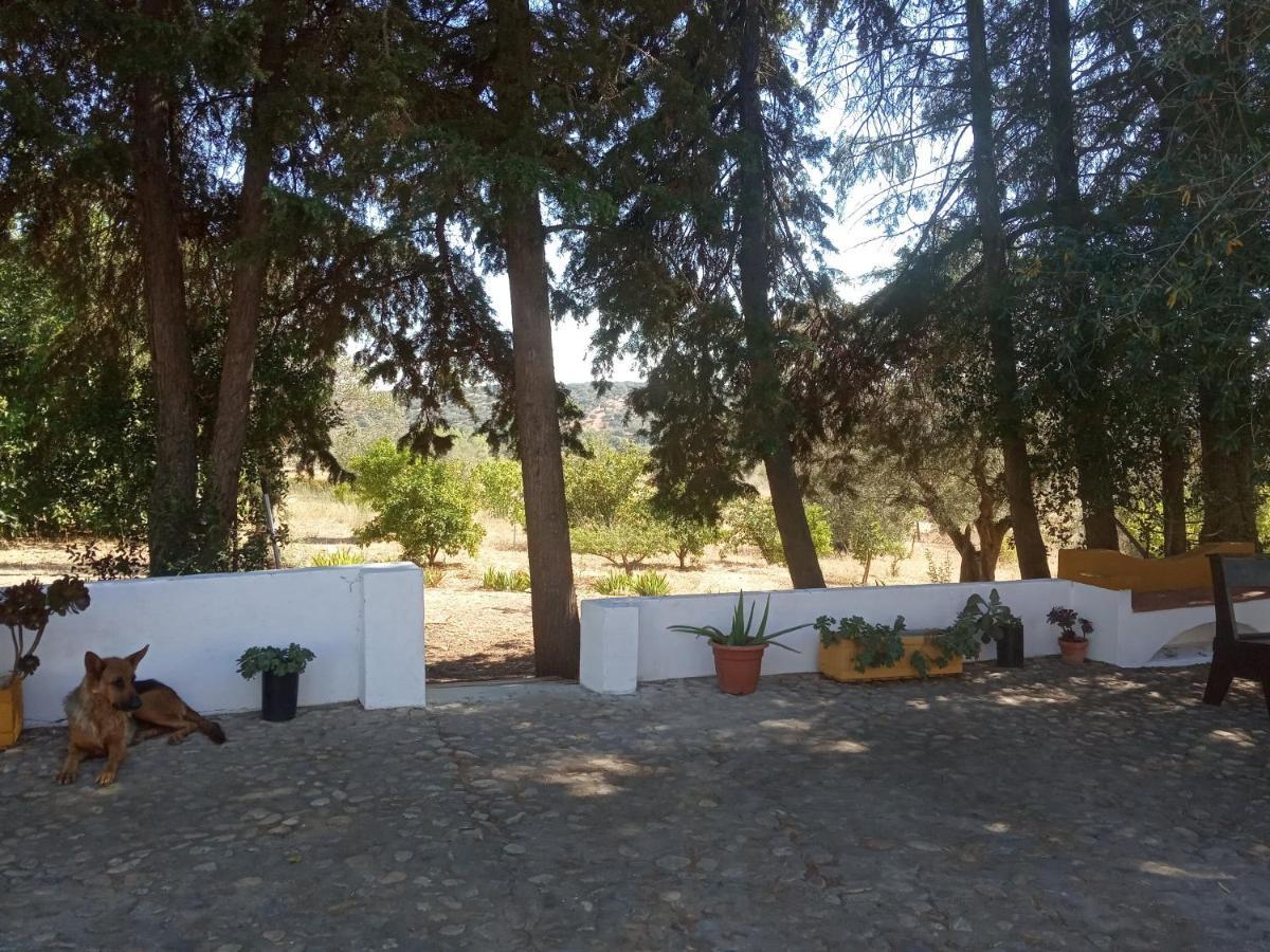 Monte Da Samarra Avis Exterior foto